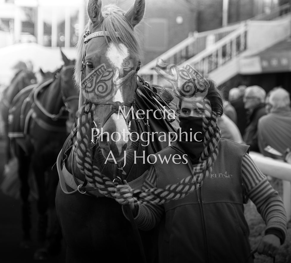 Pollards Fen 26-6-21-3