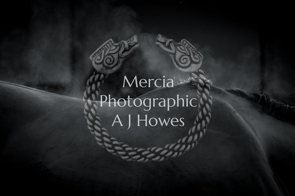 Bombers moon 26-5-21-29