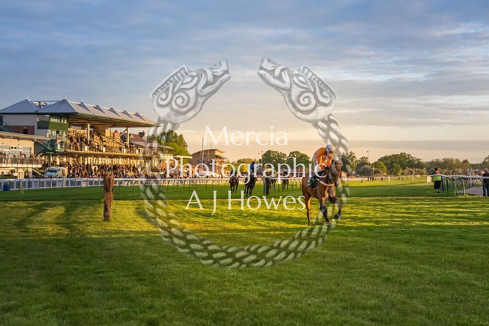 russian ruler 26-5-21-12