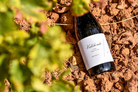 New Wine on Board: Vallehondo Syrah, A Sip of Andalusian Elegance