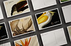 HH_Postcard_Mockups__A2.jpg