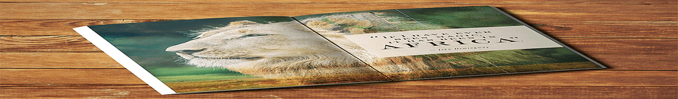OMIH_ILL_Book_GIF_inside-spread_perspective_D.gif