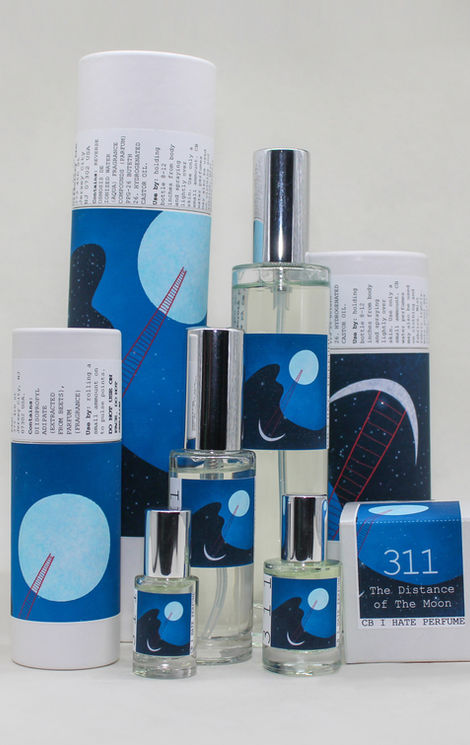 311 GROUP UNEDIT.jpg