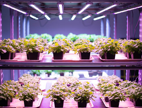 Grow_StockImage_1.jpeg