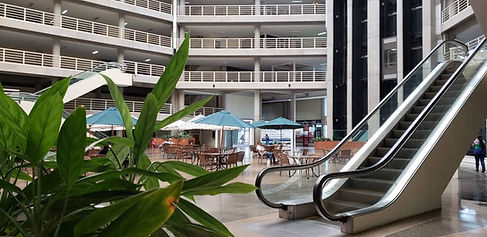 83accb0c-6380-4d28-9d09-4056d581a7e1.jfif