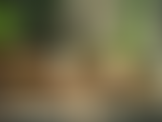 Ekonomik ve Çevre Dostu Ambalaj Çözümleri