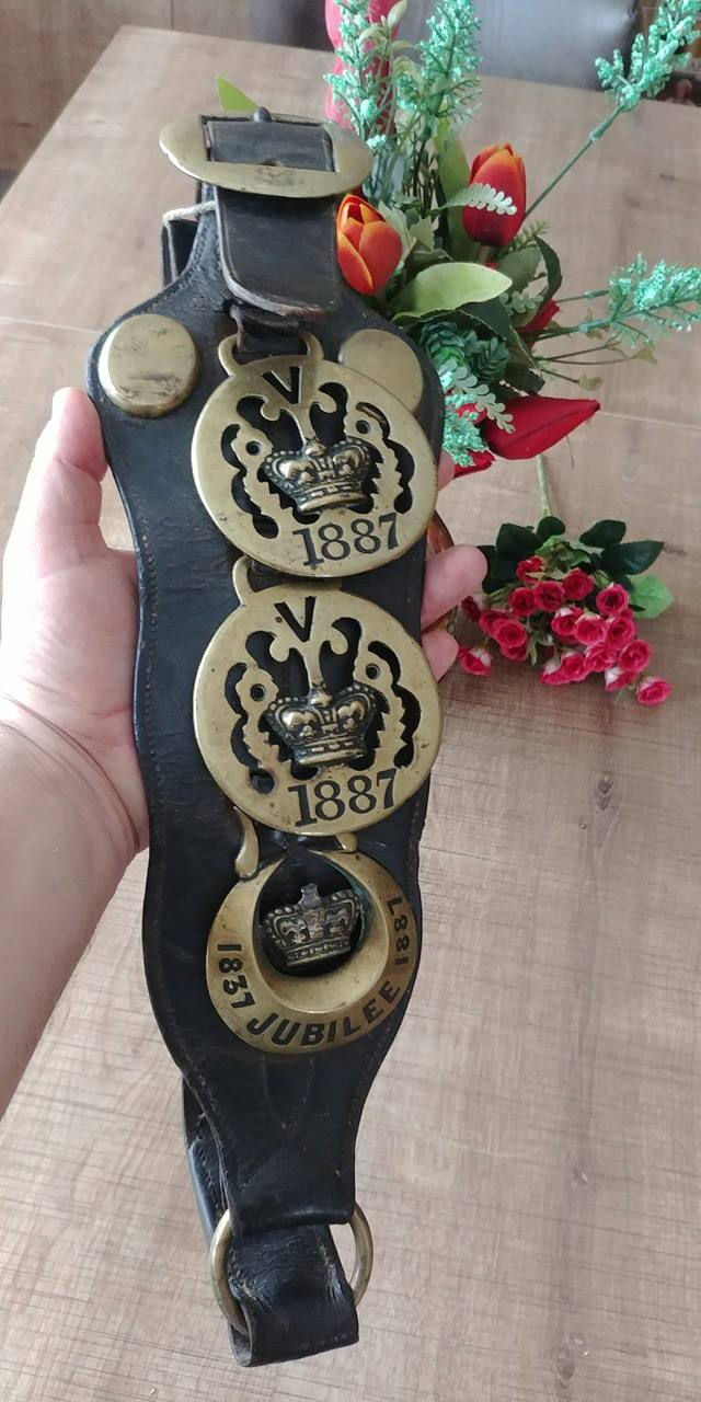 Küçük resim: Jübile Madalyası