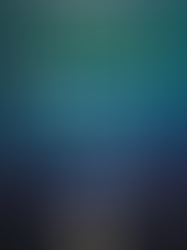 Spoiler-Free Book Review: Pretty Girls