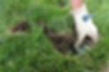 Repairing Sprinkler Head_edited.jpg