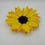 Thumbnail: Sunflower Bee Bowl