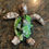 Thumbnail: Little Green Turtle