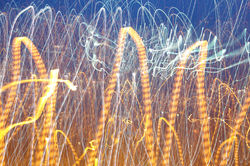 Luz 1 (de la serie Luz en azul.)