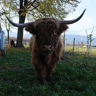 DSCF6483.JPG