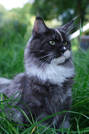 DSCF4858.JPG
