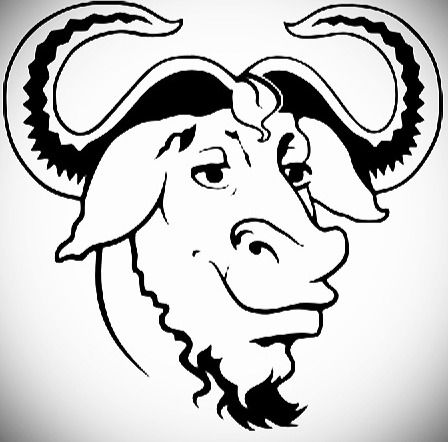 Beginner's Guide to the Stock Market