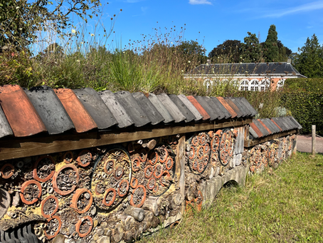 Vogelhuisjes & insectenhotels