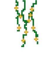 Orange Vines.png