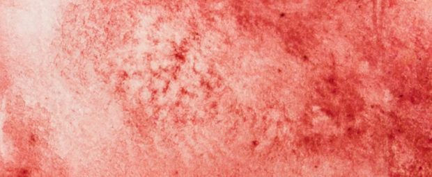 Thumbnail: Schmincke HORADAM® Naturals 天然材料系列