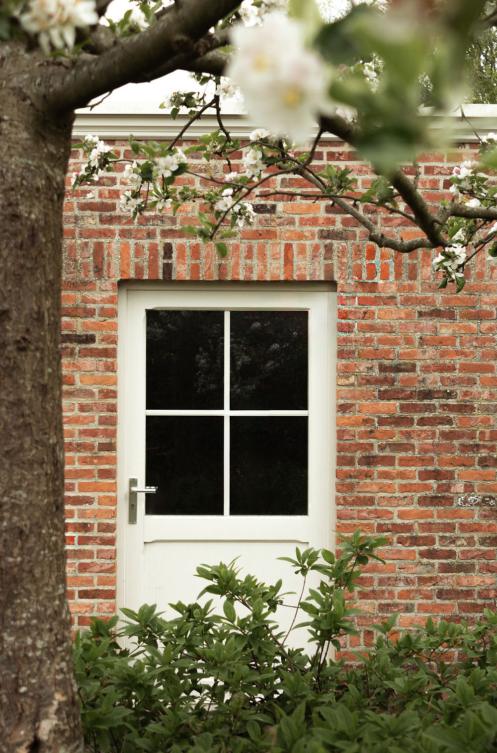 Exterieur van hedendaagse villa vastgelegd door vastgoedfotograaf met strakke compositie