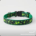 Thumbnail: Shamrock Dog Collar