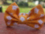 Thumbnail: Cat Bow Tie Collar Featuring White Cat Heads
