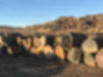 Quarry.jpg