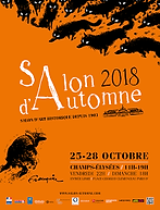 Salon 2019.png