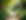 peaceful garden pathway with dappled sunlight and lush greenery.png