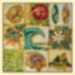 Eclats de Bora Bora - Exclusive luxury silk scarf