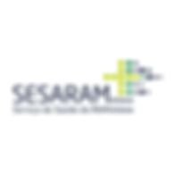 SESARAM