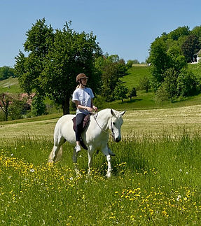 PHOTO-2026-03-28-13-58-11_edited.jpg