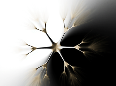 _hacer_la_imagen_en_blanco_y_negro_de_una_balanza_equilibrada_flotando_en_un_espacio_cósmico_w