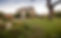 Fennes-Wedding-Venues-06.webp