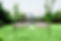 outdoor-wedding-ceremony-vaultymanor_170