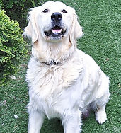 20240527_150018_edited_edited_edited.jpg