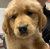 3909687408015301017_edited_edited_edited