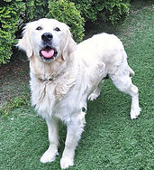 20240527_150006 (1)_edited_edited.jpg