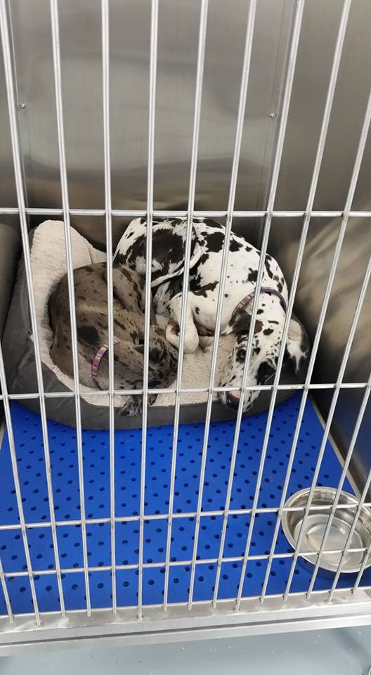 12241620_1560240097562747_5236613289009137004_n