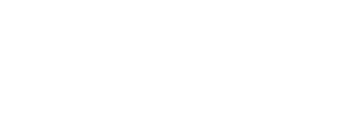logo_GaleriePerkins_blanc.png