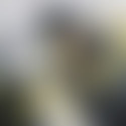 Ma toile Miléna est remarquée au LA Art Show