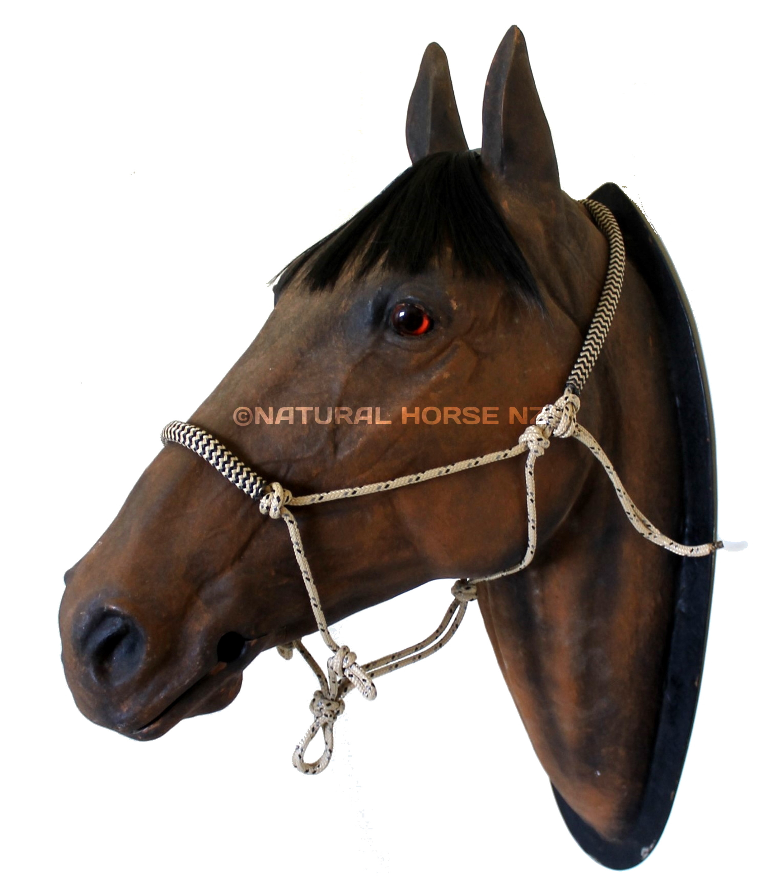 Riding Halter and Western Reins Natural Horse NZ www.naturalhorse.co.nz