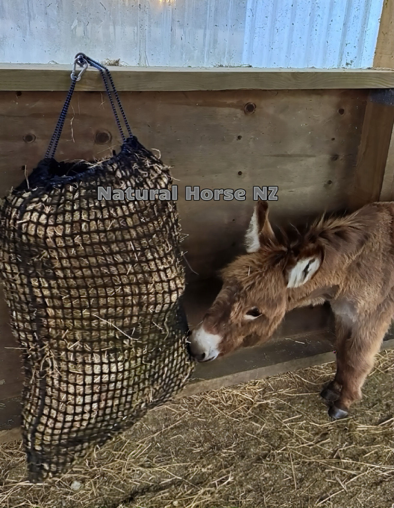 Deluxe Knotless Slow Feed Haynet 1/2 -3/4 Bale-Medium Size