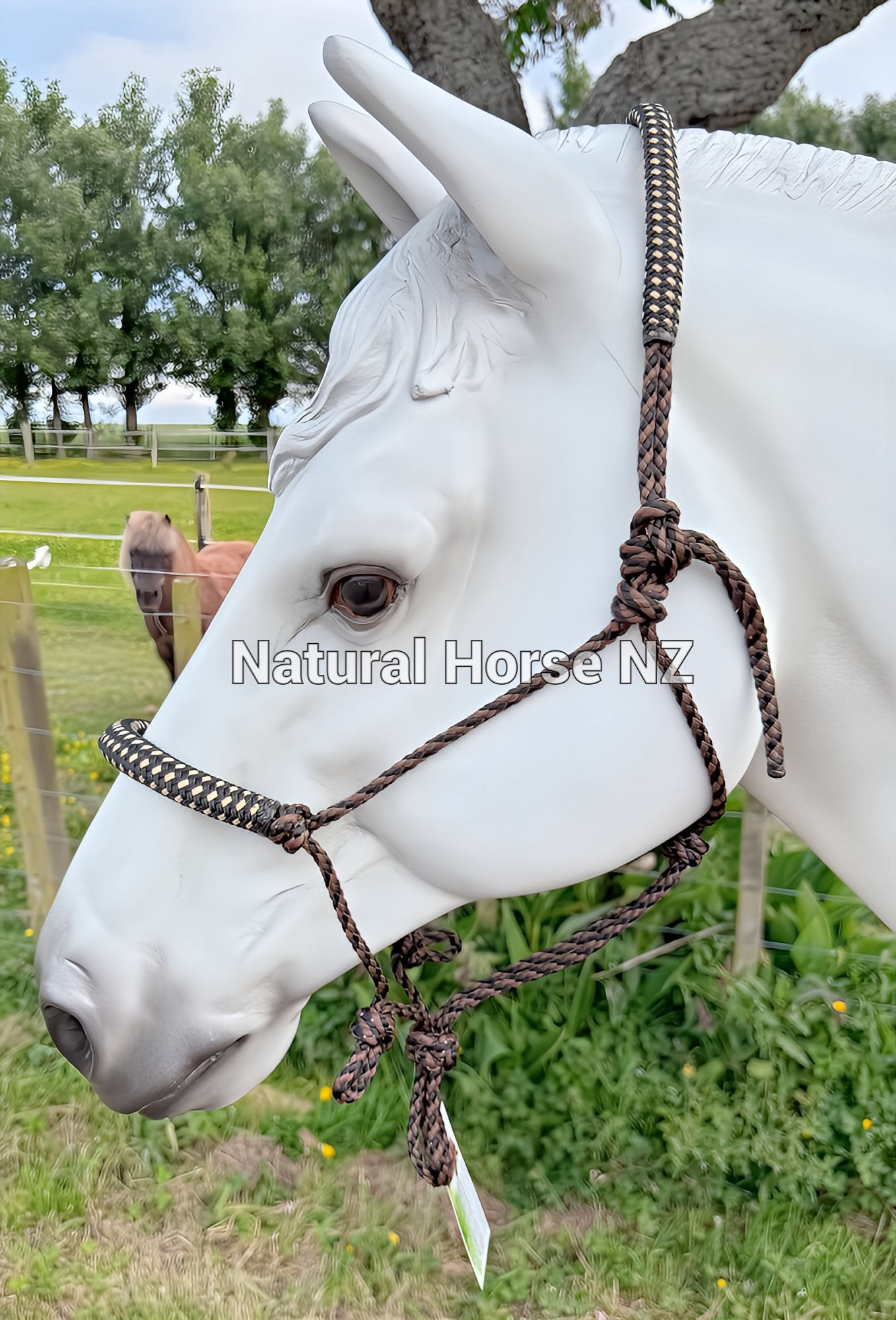 Groundwork + Riding Halter-Brown Spirals-Cob Size