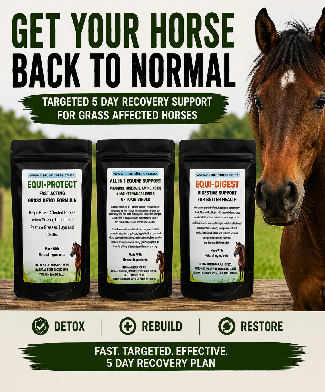 Fast Acting Grass Recovery Plan For Grass Affected Horses