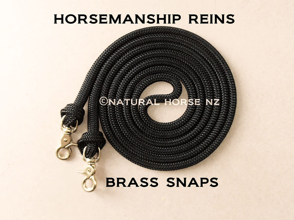 Thumbnail: Mediumweight Horse Riding Rope Reins