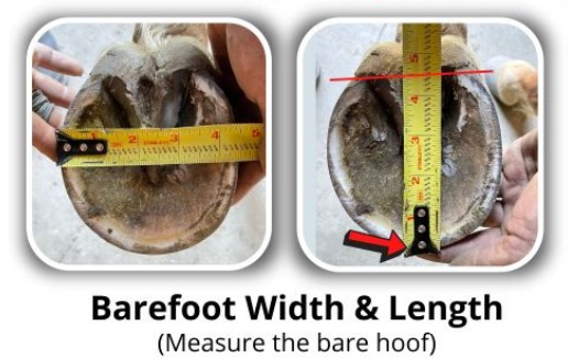Thumbnail: Scoot Boot Adjust Hoof Boots -1 Pair-Clearance