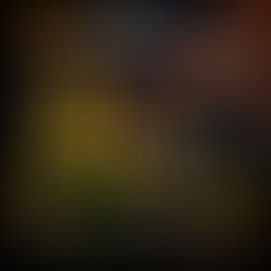 Horses and Grass-Information For Owners