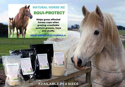 equi-protect natural toxin binder that helps grass affected horses