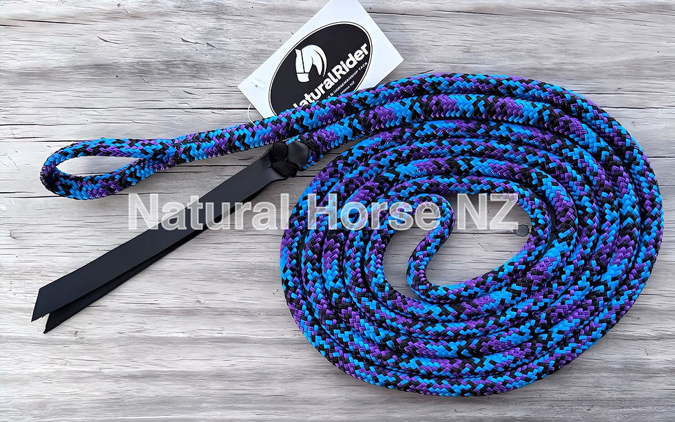 Thumbnail: 8ft Mediumweight Horsemanship Line