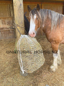 Slow Feed Haynets at Natural Horse NZ